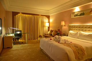 VILI Inrernational Hotel
