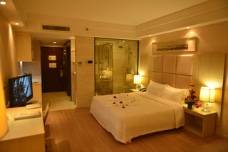 VILI Inrernational Hotel