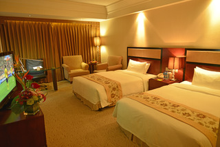 VILI Inrernational Hotel