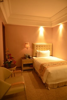 VILI Inrernational Hotel