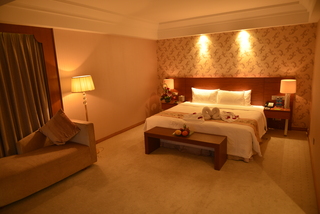 VILI Inrernational Hotel