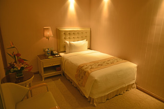 VILI Inrernational Hotel
