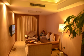 VILI Inrernational Hotel