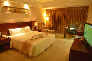 VILI Inrernational Hotel