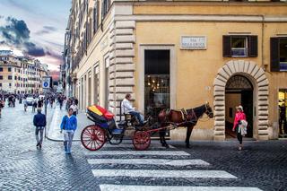 The View At The Spanish Steps