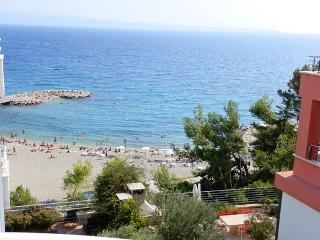 Apartment Branka