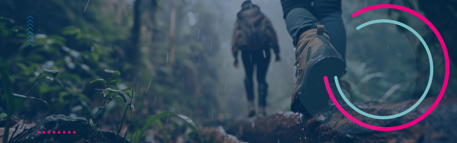 Person walking in the woods