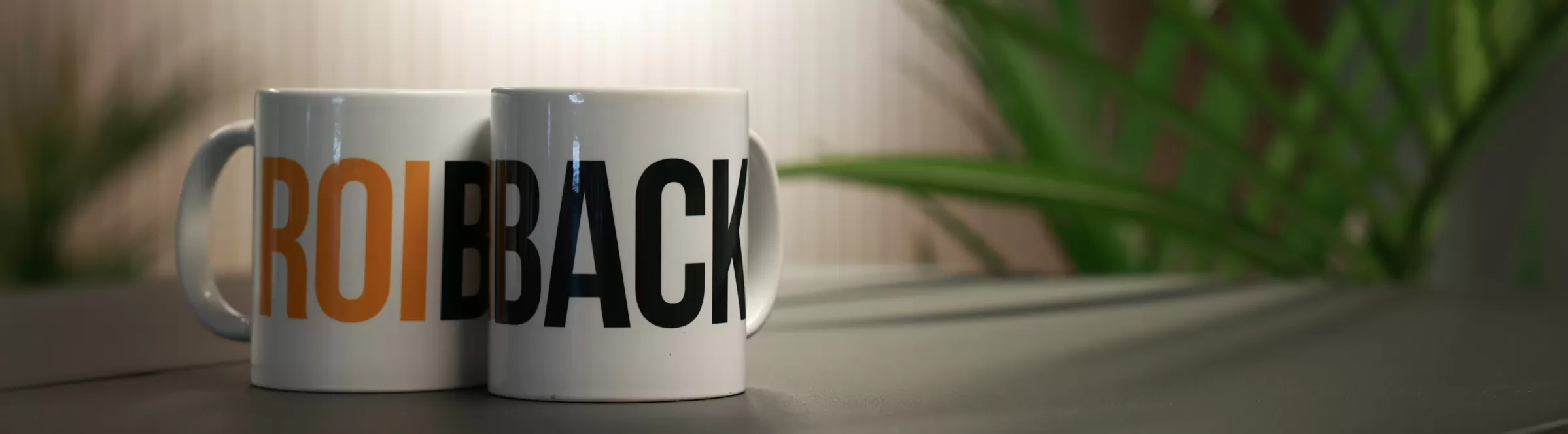 Roiback