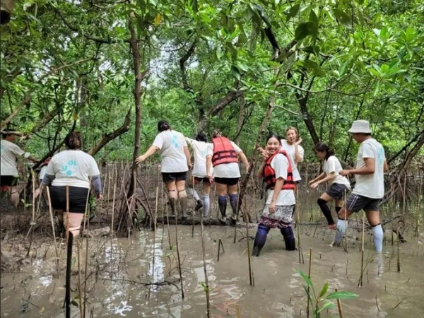 Group of people walking towards a forest through a swamp