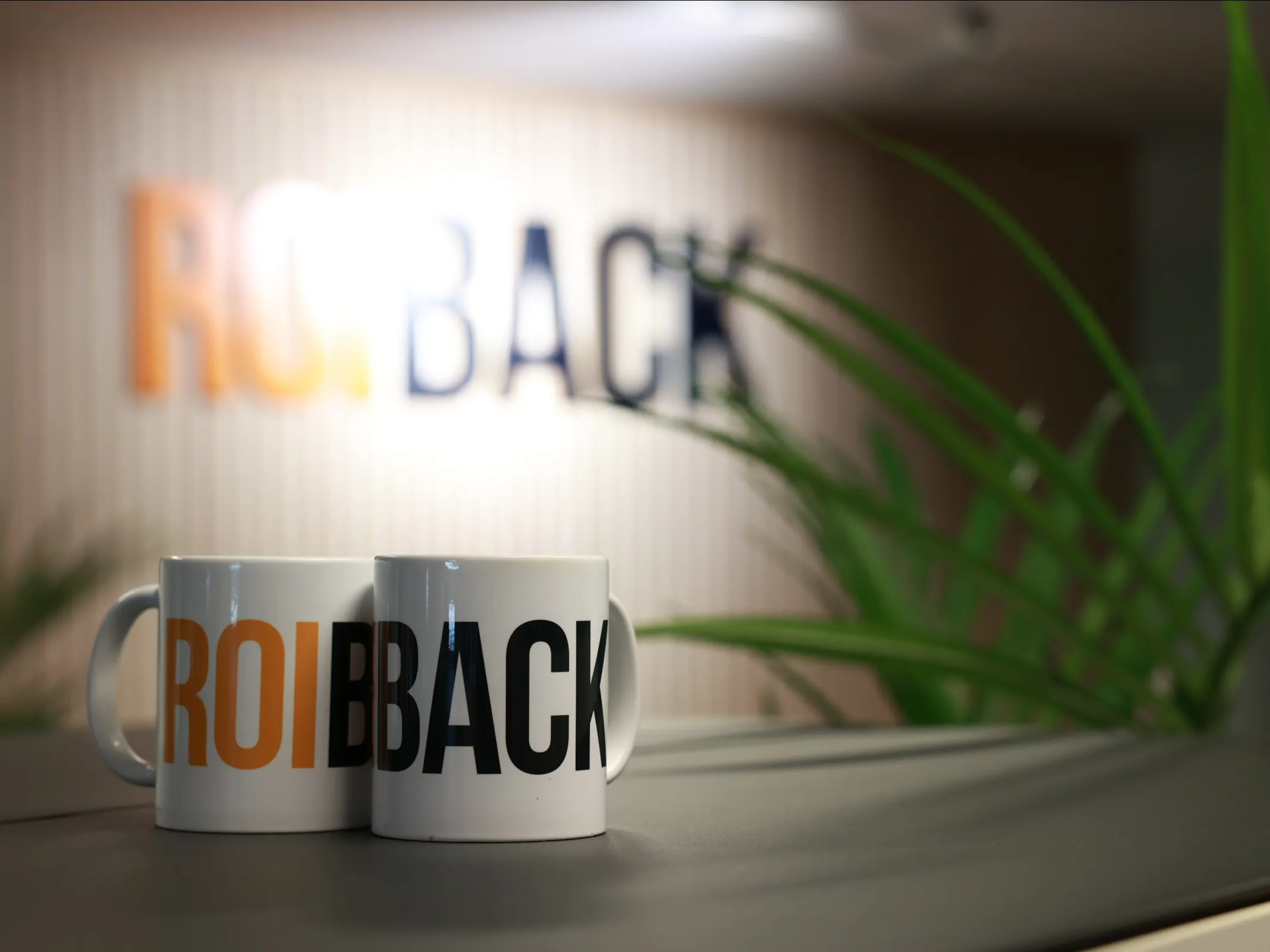Roiback