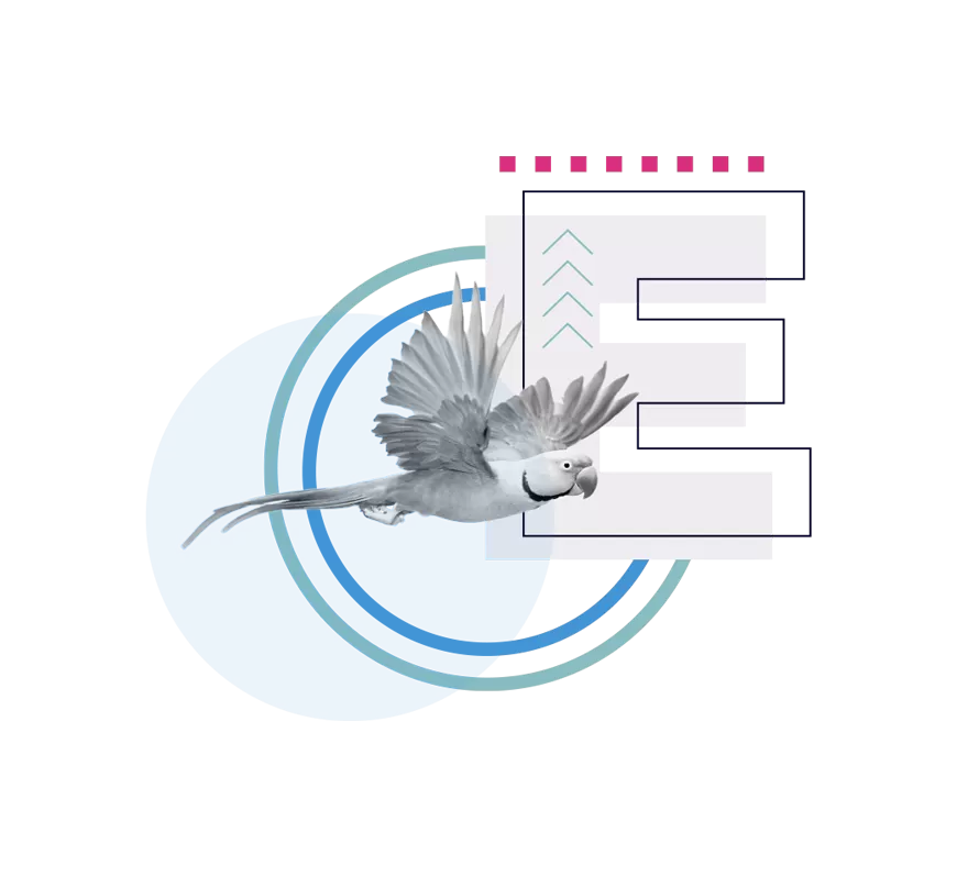 e esg