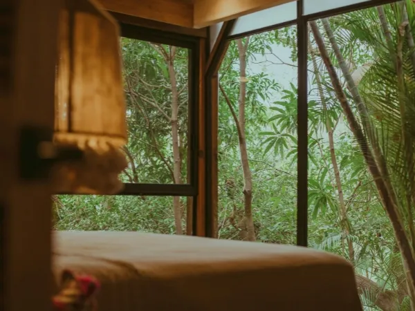 Hotel room window with forest outside