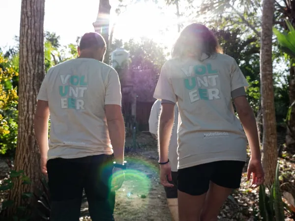 Two people walking in the forest and a light halo between them