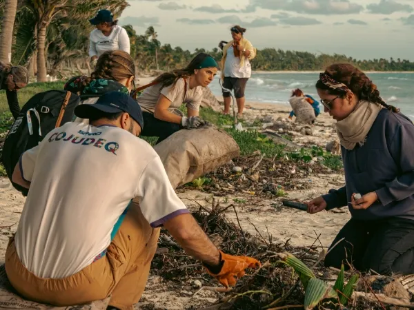 A group of people cleaning up a beach