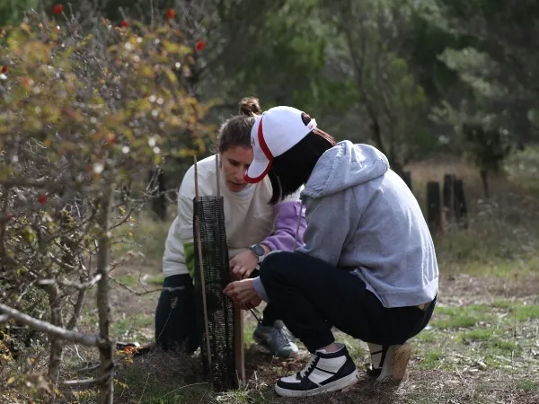 Two people planting a sapling