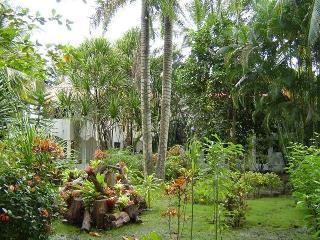 Casa Phonix Annex Isla Verde