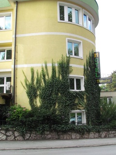 Belvedere