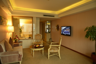 VILI Inrernational Hotel