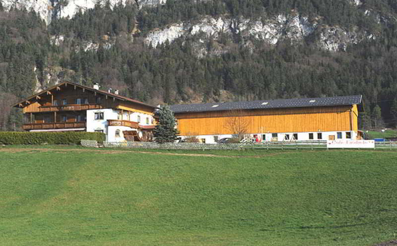 Haflingerhof