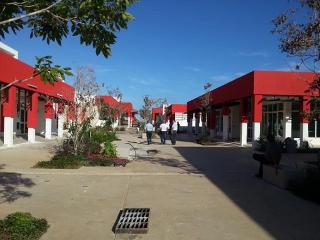Hotel Las Salinas, Plaza & Spa